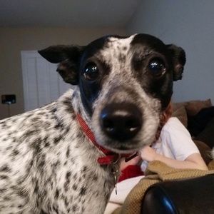 Meet your Posher, Sean